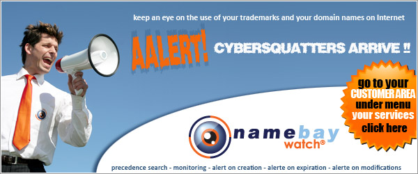 surveillance nom domaine - protection marque - alerte à la création et à l'expiration de nom de domaine